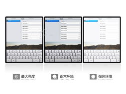 蘋果iPad WiFi 16GB平板電腦 經(jīng)典設(shè)計(jì)與實(shí)用科技的完美結(jié)合